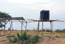 Sunnova partners with Seeding Mercy Inc. to fund solar irrigation initiative to improve farming in South Sudan