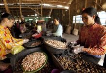 New partnership to promote decent work across food systems