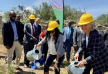 US commits $12 million towards reviving pyrethrum sector in Kenya
