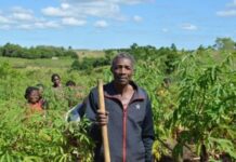 Adapting to Food Insecurity in Madagascar with Climate-Adaptive Farming