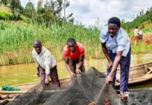 Farmers in Rwanda to benefit from UK-backed training programme to help boost fresh produce sales