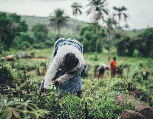 annie-spratt-QYcSeY7vuZM-unsplash (002)