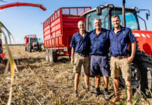 Frumentum Farming in Namibia a family success thanks to Massey Ferguson