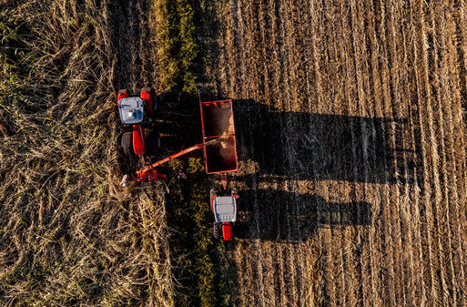silage-production-is-easy-with-the-massey-7724-and-kuhn-silage-harvester
