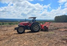 Farmtrac Vryheid scores a hit with the MF Global series in the forestry sector in Northern KZN