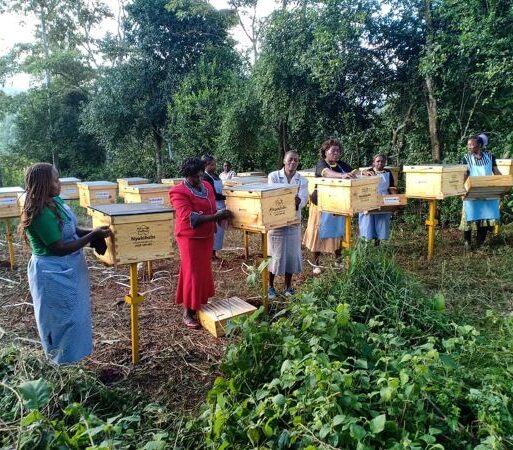 women owning beehives (002)
