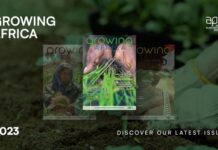 Growing Africa : APNI dedicates special issue to the upcoming Africa Summit on Fertilizers and soil health