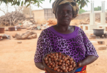 ABC Fund has financed 28 organisations supporting nearly 600,000 smallholder farmers since 2019