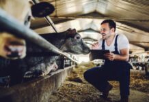 BMG : Calling all Cape Farmers