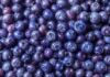 Macfrut 2026 will shine a spotlight on berries: a larger, revamped Berry Area