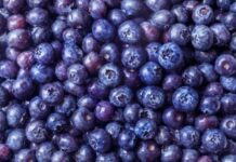 Macfrut 2026 will shine a spotlight on berries: a larger, revamped Berry Area