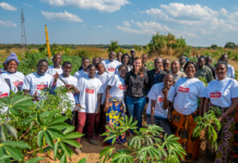 Luapula Cassava farmers yield benefits from Zambia breweries pact