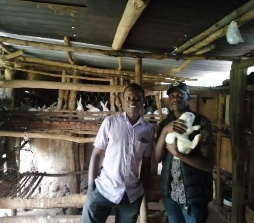 Eddionyi’s rabbit farm (002)