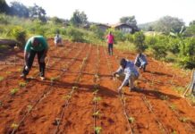 Drip irrigation Benefits and its Technical challenges