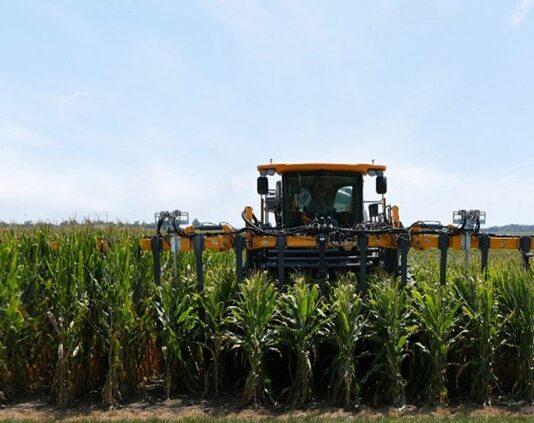 Gene Editing: Pairwise and Bayer start new five-year multi-million Dollar collaboration to further advance short-stature corn