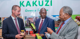 Kenya’s Kakuzi doubles dividend as avocado exports drive profit recovery