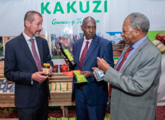 Kenya’s Kakuzi doubles dividend as avocado exports drive profit recovery