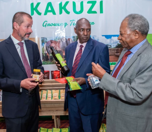 Kenya’s Kakuzi doubles dividend as avocado exports drive profit recovery