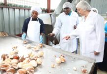 US in a joint $1.6M investment project to create market opportunities for 4,500 Kenyan coconut farmers