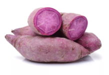 International Potato Center introduces drought-resistant purple-fleshed sweet potato in Kenya