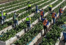 World Water Week: safeguarding our planet’s most vital resource