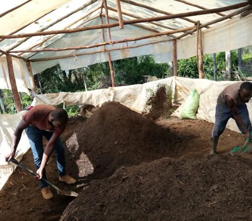 Robert Mwangi (left) with one of the youth collecting together the decomposed organic fertiliser. (1) (002)