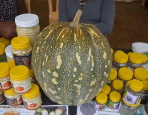 Some of the products in display that Mwihaki has made from pumpking value addition. They include pumpkin flour and oil_ (002)