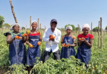 Goodwell invests EUR 150 million in SOUK Farms to scale sustainable agricultural production in Rwanda