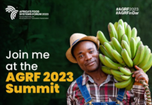Tanzania to host Africa Food Systems Forum 2023 Summit