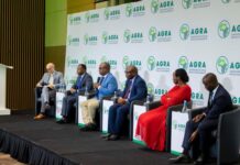 AGRA launches five-year agricultural strategy in Rwanda, plans to double investment to support SMEs