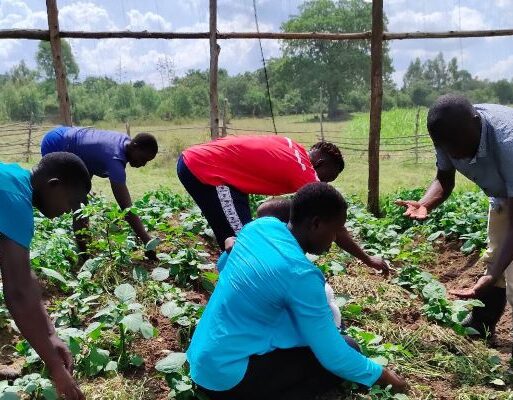 Youth engaged in farming training exercise. This helps improve their skills unlock their economic potential and participate in producing enough food for the communi (002)