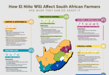 Preparing for the Impending El Niño Drought: Strategies for South African Farmers