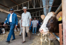 Eritrea’s Msilam Dam to bolster food security and change lives for the better