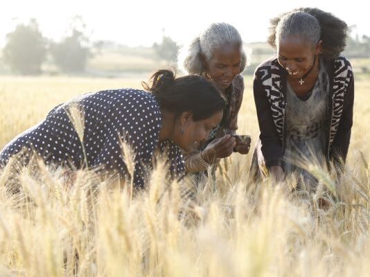 50 African female policy practitioners joins fellowship to work on gender-responsive agri-food policies