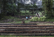 AfDB approves $20 million to improve business environment and drive investments to climate-smart agriculture