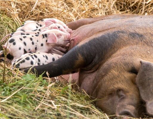 79107_© istockphoto