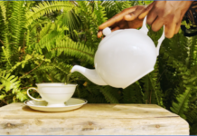 Digital marketing key to luxury tea startup success says Adja Sembene Fall
