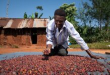 The Conrad N. Hilton Foundation Announces One Acre Fund as 2023 Recipient of $2.5 Million Humanitarian Prize