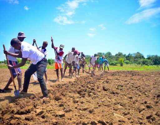 Farming – Credit_ Aina Eric Andrianarisata