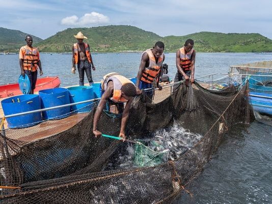 East Africa Moves Toward Joint Fishing Licence to Curb Lake Victoria Conflicts