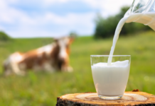 UHT milk imports a threat to farmers, livelihoods