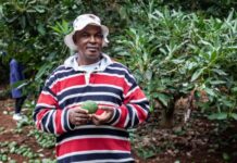 Enviu Unveils News Hub to Collaborate with Journalists in Enhancing and Showcasing Impactful Ventures Globally