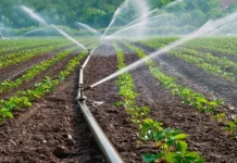 BASUSAD Secretary General Nuri Göktepe: “Pressurized Irrigation Sector Raised the Bar in Exports”