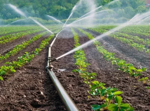Pressure Irrigation Systems Sector Grows With Exports