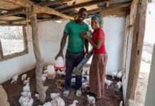 Ashden Awards finalists: Africa dominates list of trailblazing climate solutions