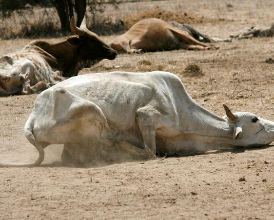UK announces £49 million projects to fight climate change in Africa