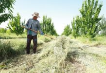 Fitch Ratings confirms AA+ rating for the International Fund for Agricultural Development