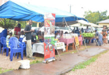 Agricultural supplies delivered as part of the AfDB’s Emergency Food Production Project