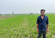 Bayer introduces agricultural system for direct-seeded rice with potential to reduce greenhouse gas emissions and water use by up to 40 percent