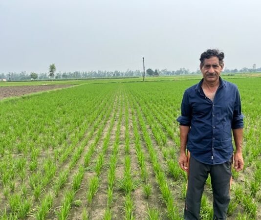 Bayer introduces agricultural system for direct-seeded rice with potential to reduce greenhouse gas emissions and water use by up to 40 percent